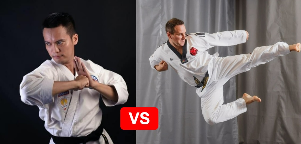 Taekwondo VS Karate: A Beginner’s Guide – Lions Taekwondo Academy L Top ...